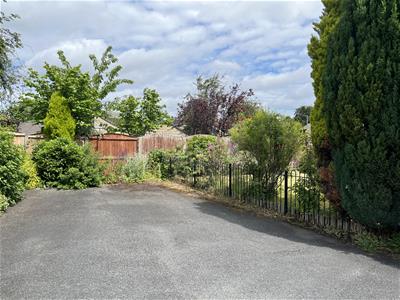 Picture 24